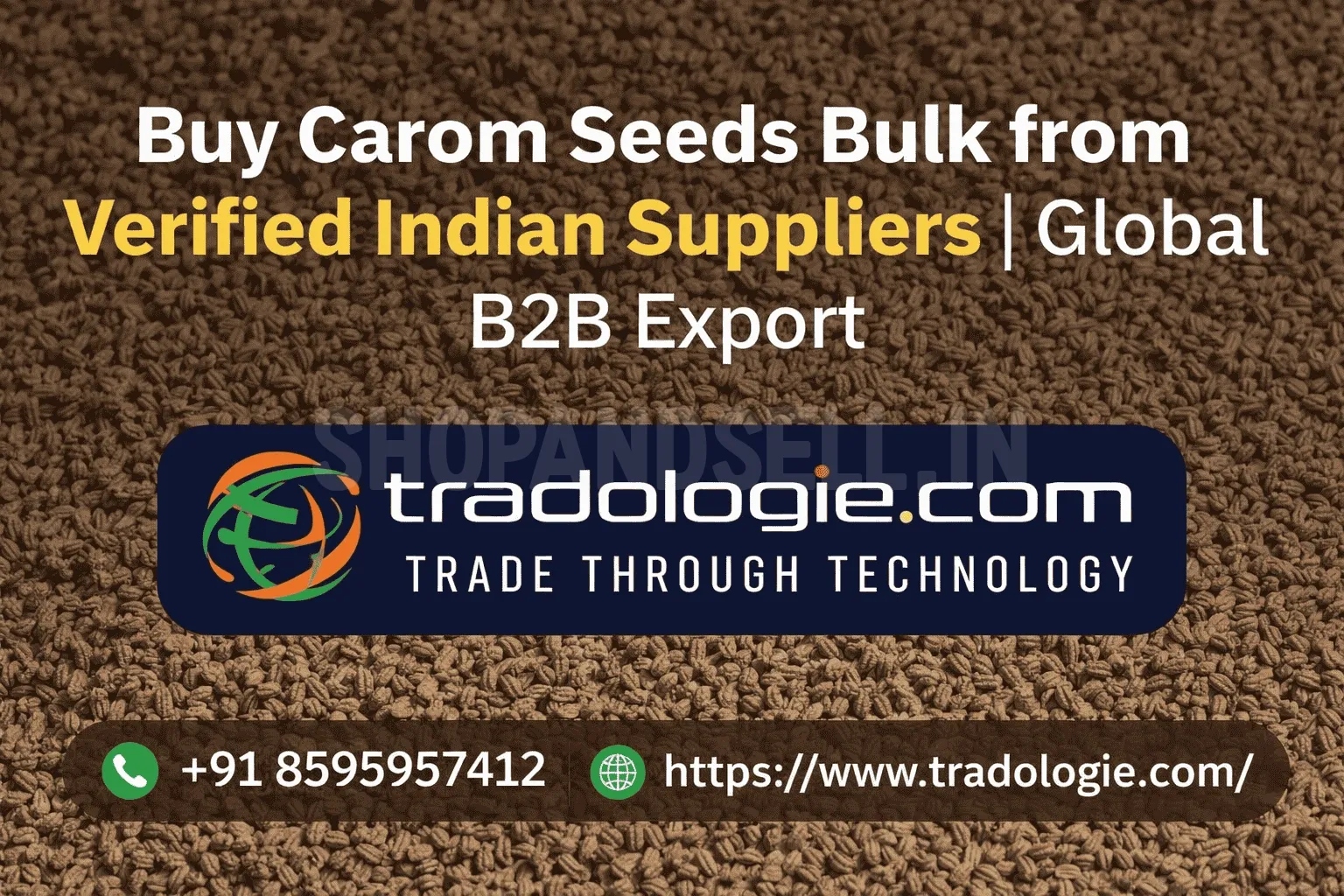 Buy Carom Seeds Bulk from Trusted Indian Exporters | Global B2B Supply