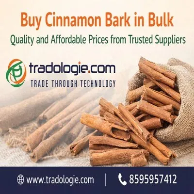  Buy Cinnamon Bark in Bulk – Quality and Affordable Prices from Truste