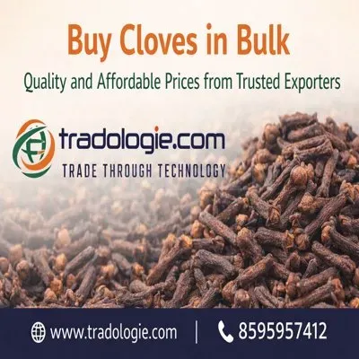 Buy Cloves in Bulk – Quality and Affordable Prices from Trusted Export