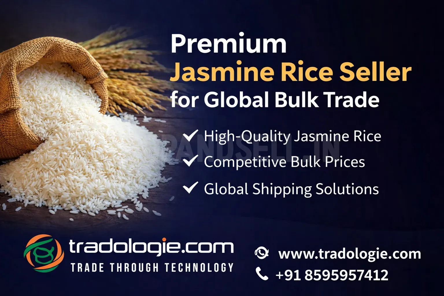 Premium Jasmine Rice Seller for Global Bulk Trade