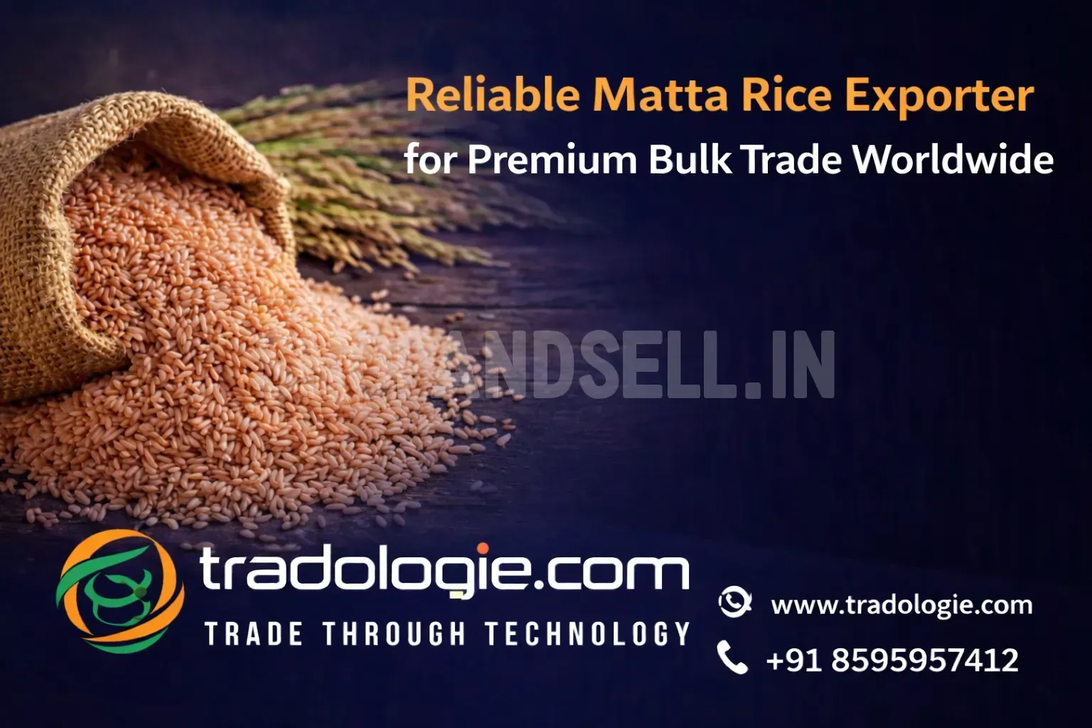 Export Saffron from India – Buy Bulk Saffron from Verified Sellers