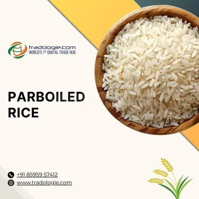 Buy Parboiled Rice in Bulk – Trusted Parboiled Rice Sellers & Importer