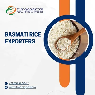 Basmati vs Non-Basmati Rice – Key Differences, Uses & Bulk Trade Insig