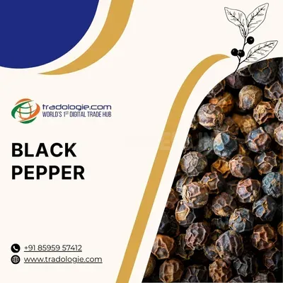 Black Pepper Wholesalers – Bulk Supply, Export & Import Guide for Glob