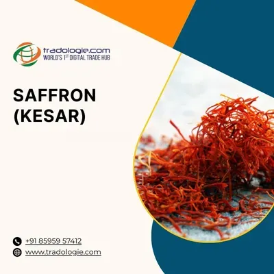  Premium Export-Grade Saffron (Kesar) – Wholesale, ISO Certified, Dire