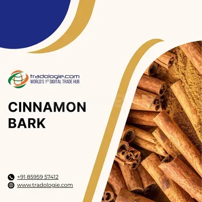 Buy Cinnamon Bark Bulk from Cinnamon Bark Exporters India | Cinnamon B