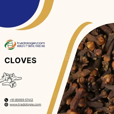 Buy Cloves Bulk from Cloves Exporters India | Cloves B2B Marketplace f
